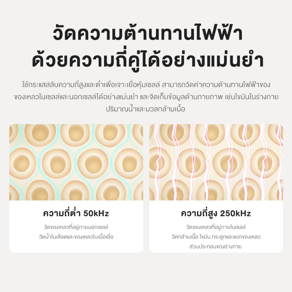 Xiaomi Smart Scale 2 / Body Composition Scale S400 ตาชั่งอัจฉริยะ ชั่งน้ำหนักคนและสิ่งของ