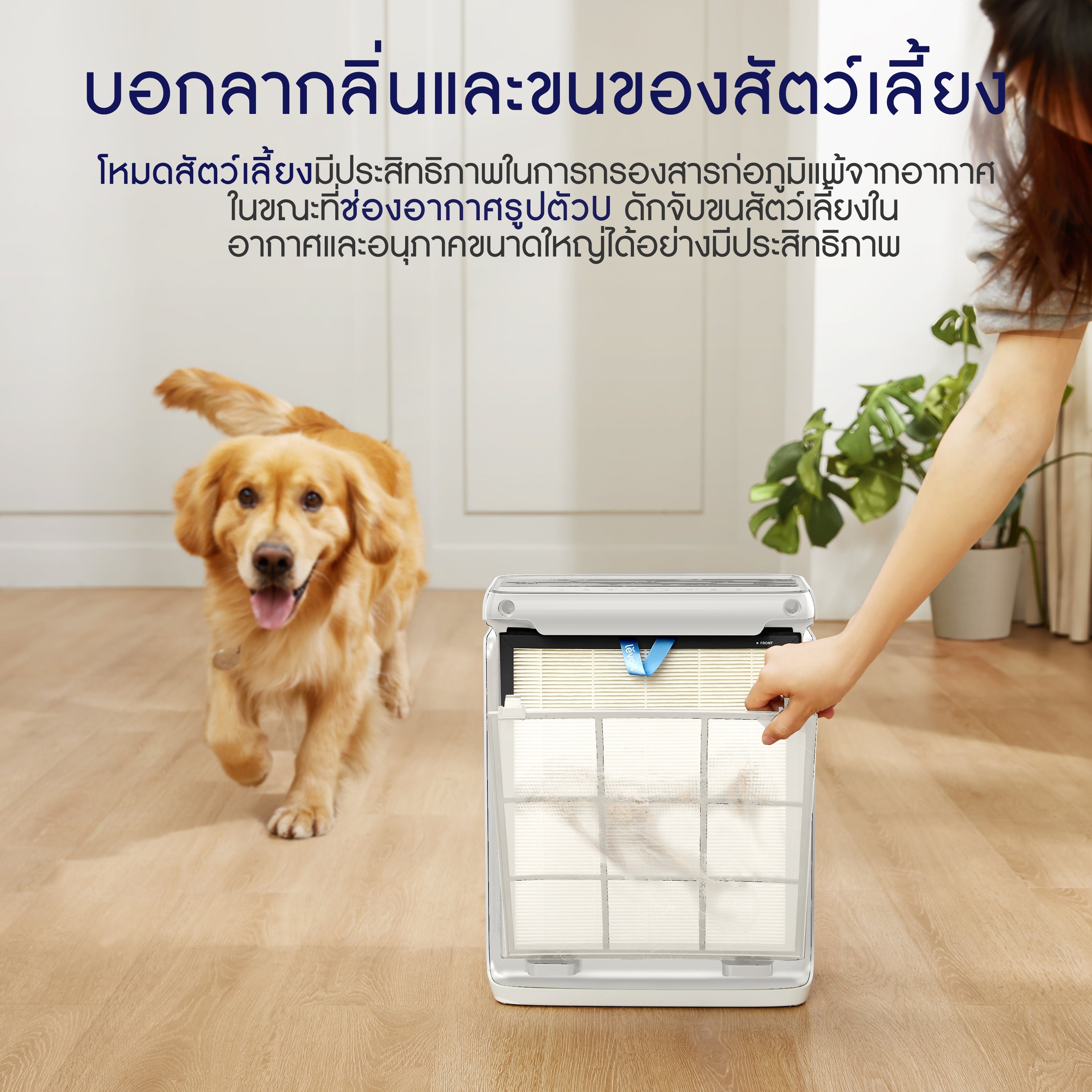 Levoit Vital 100S Pet Air Purifier PM2.5 เครื่องฟอกอากาศ levoit 100s สัตว์เลี้ยง ประกัน 2 ปี
