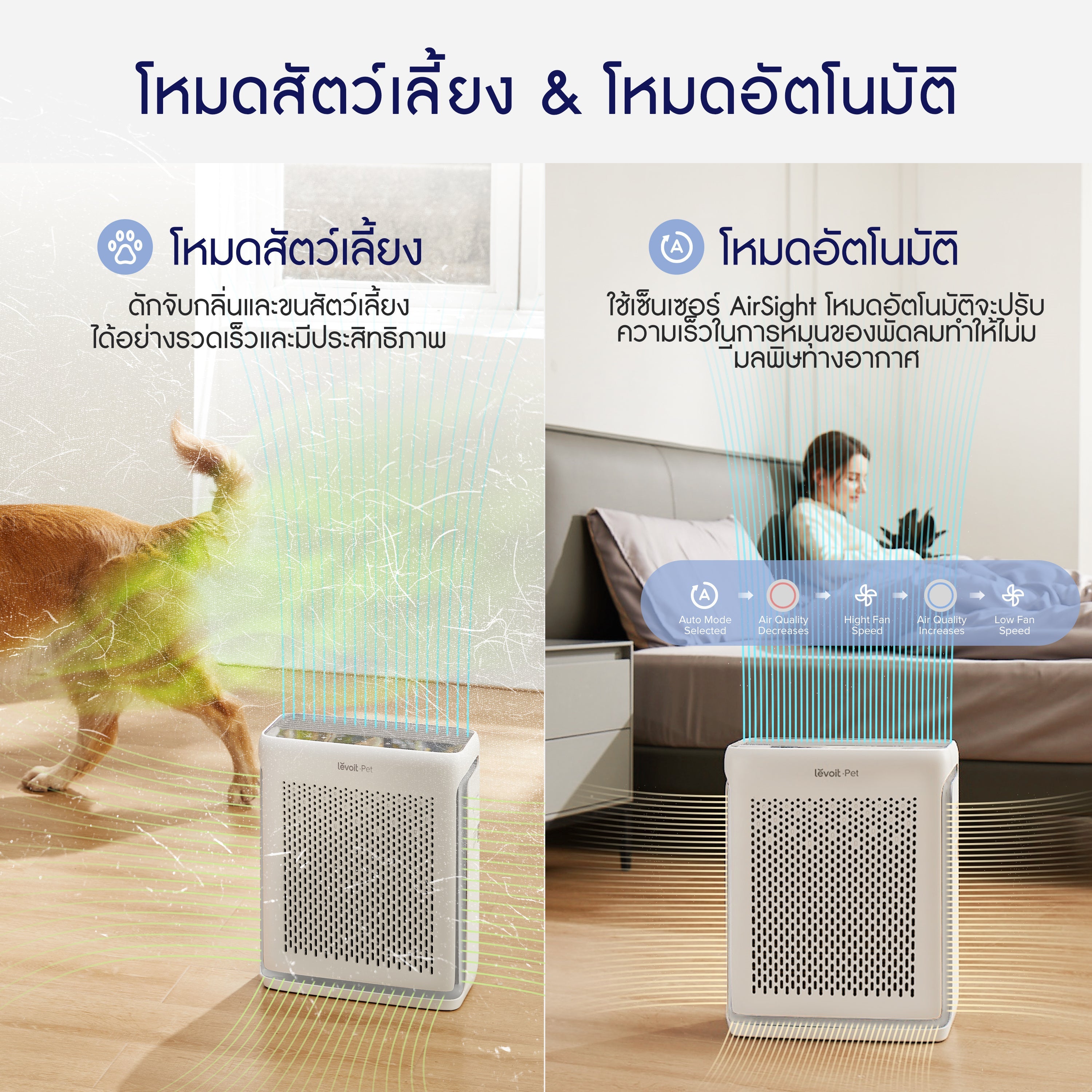 Levoit Vital 100S Pet Air Purifier PM2.5 เครื่องฟอกอากาศ levoit 100s สัตว์เลี้ยง ประกัน 2 ปี