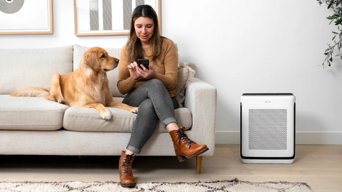 เครื่องฟอกอากาศกับแผ่นกรอง HVAC